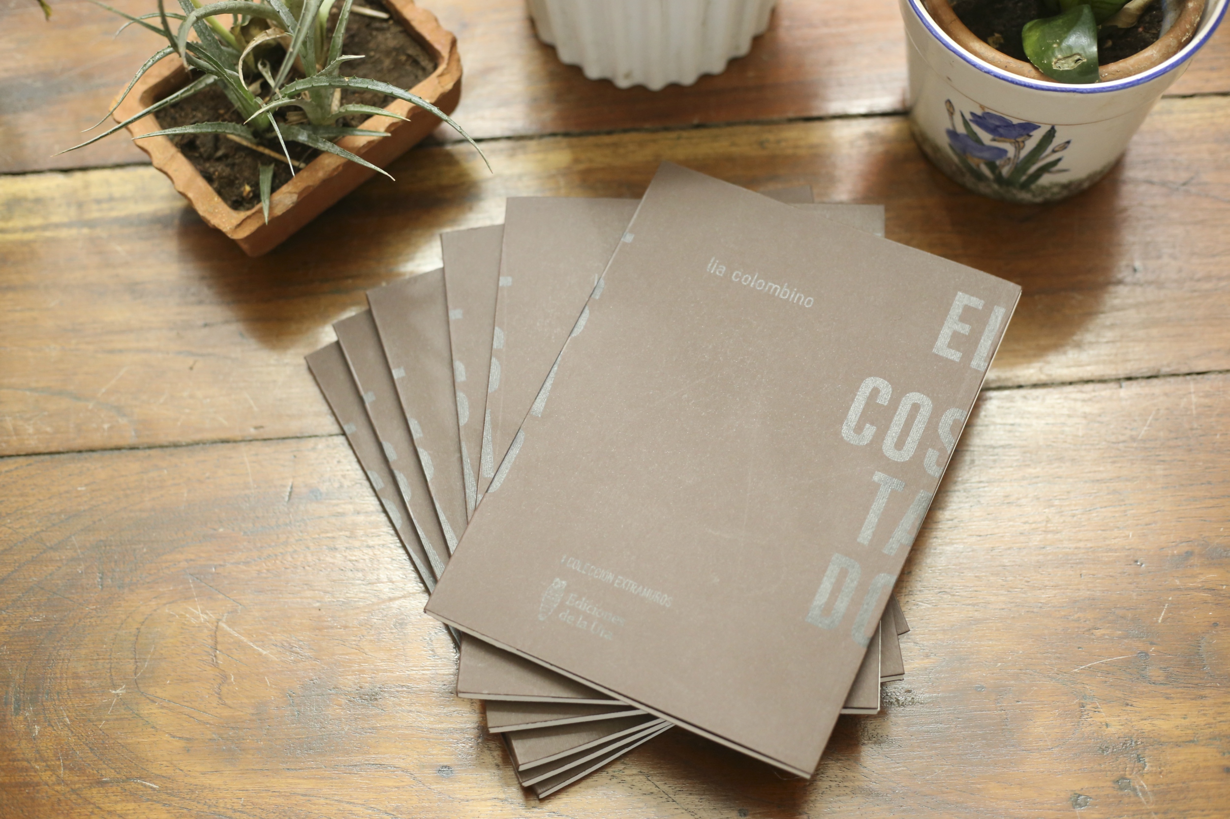 Lia Colombino lanza libro de poemas El costado