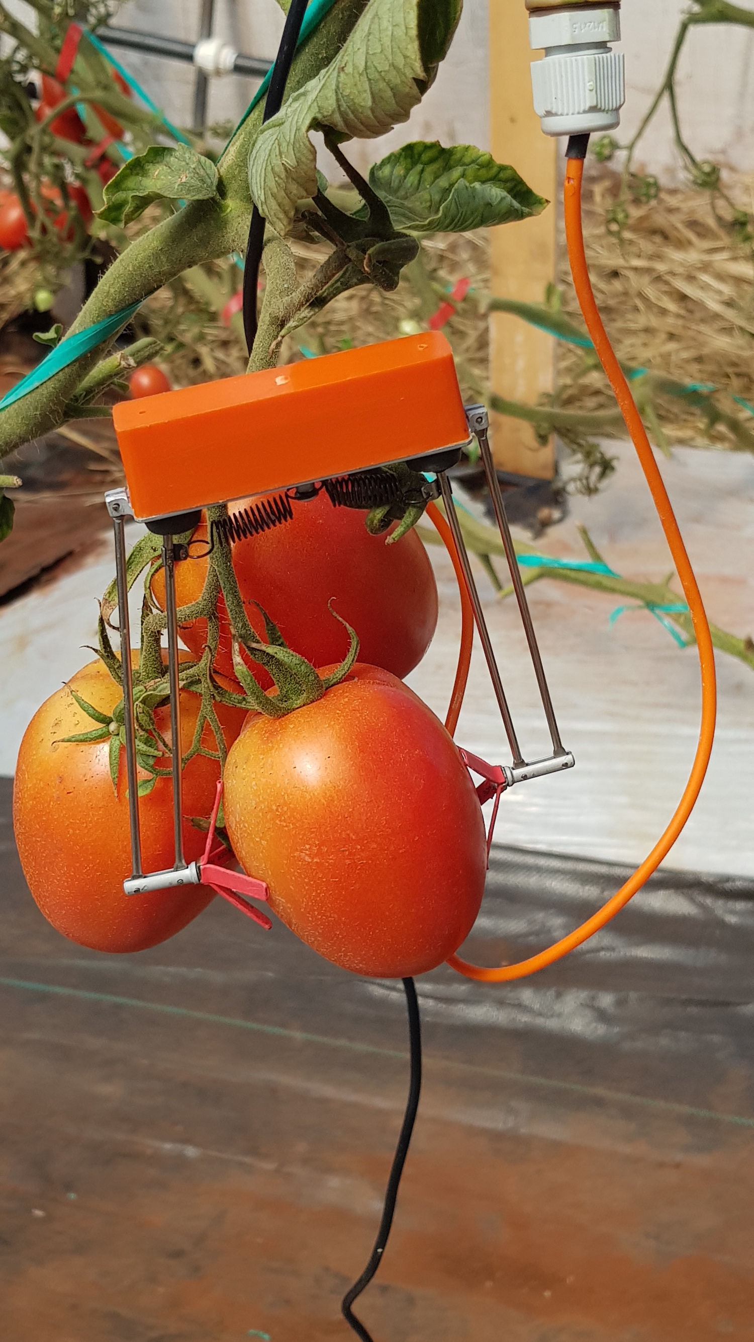 Tecnología inteligente llega al país para optimizar la producción del pequeño agricultor   