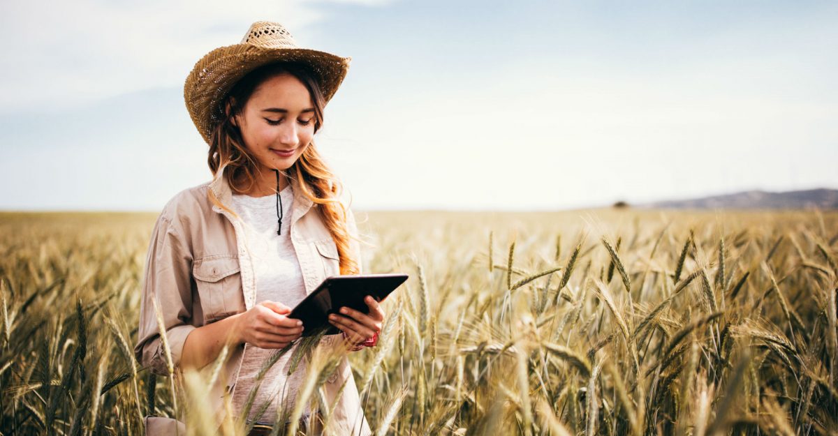 CREA y Koga invitan al sector agroganadero a participar de encuestas para incentivar la innovación