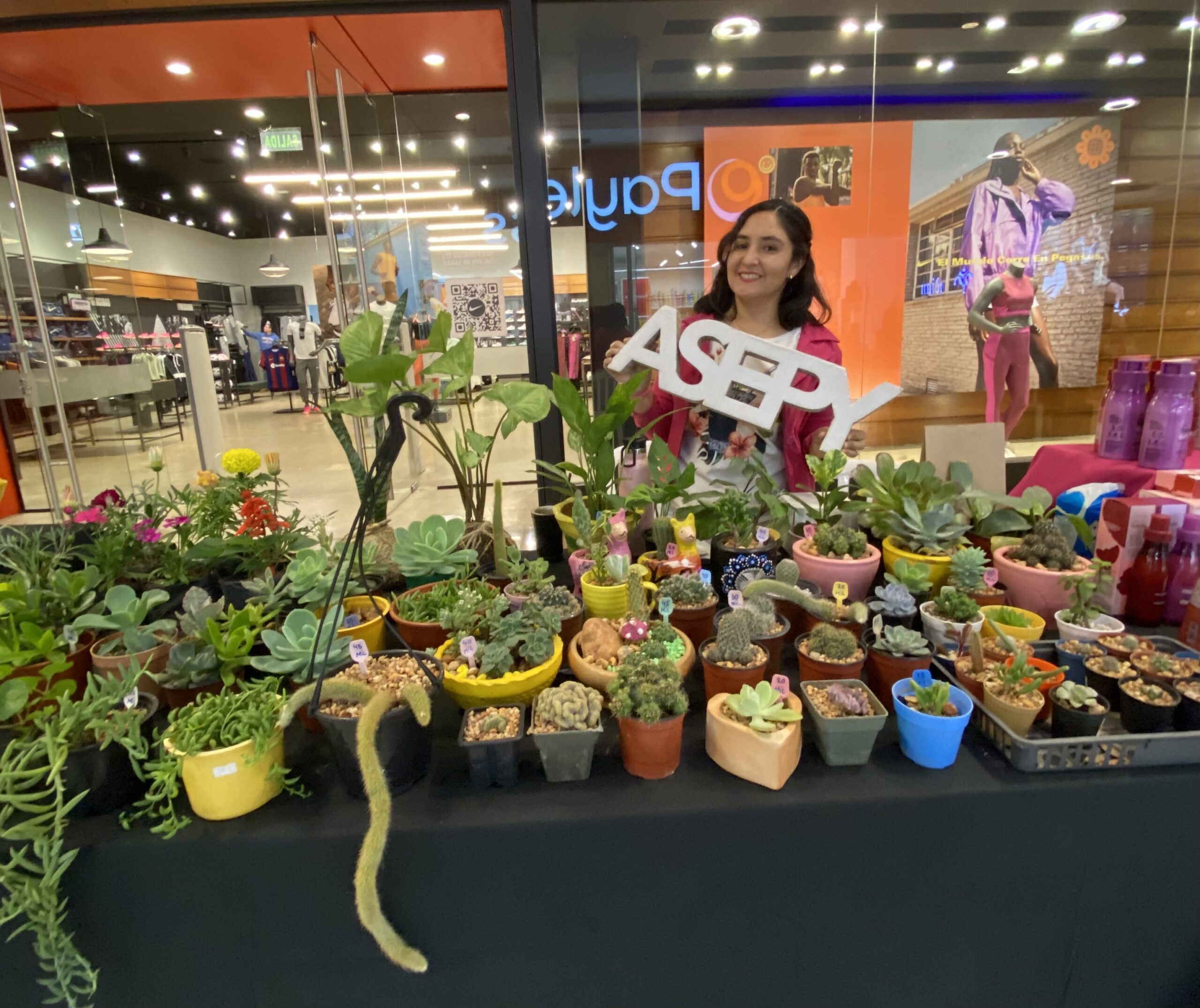 La Asepy invita a la última feria de emprendedores del año en el Shopping Pinedo