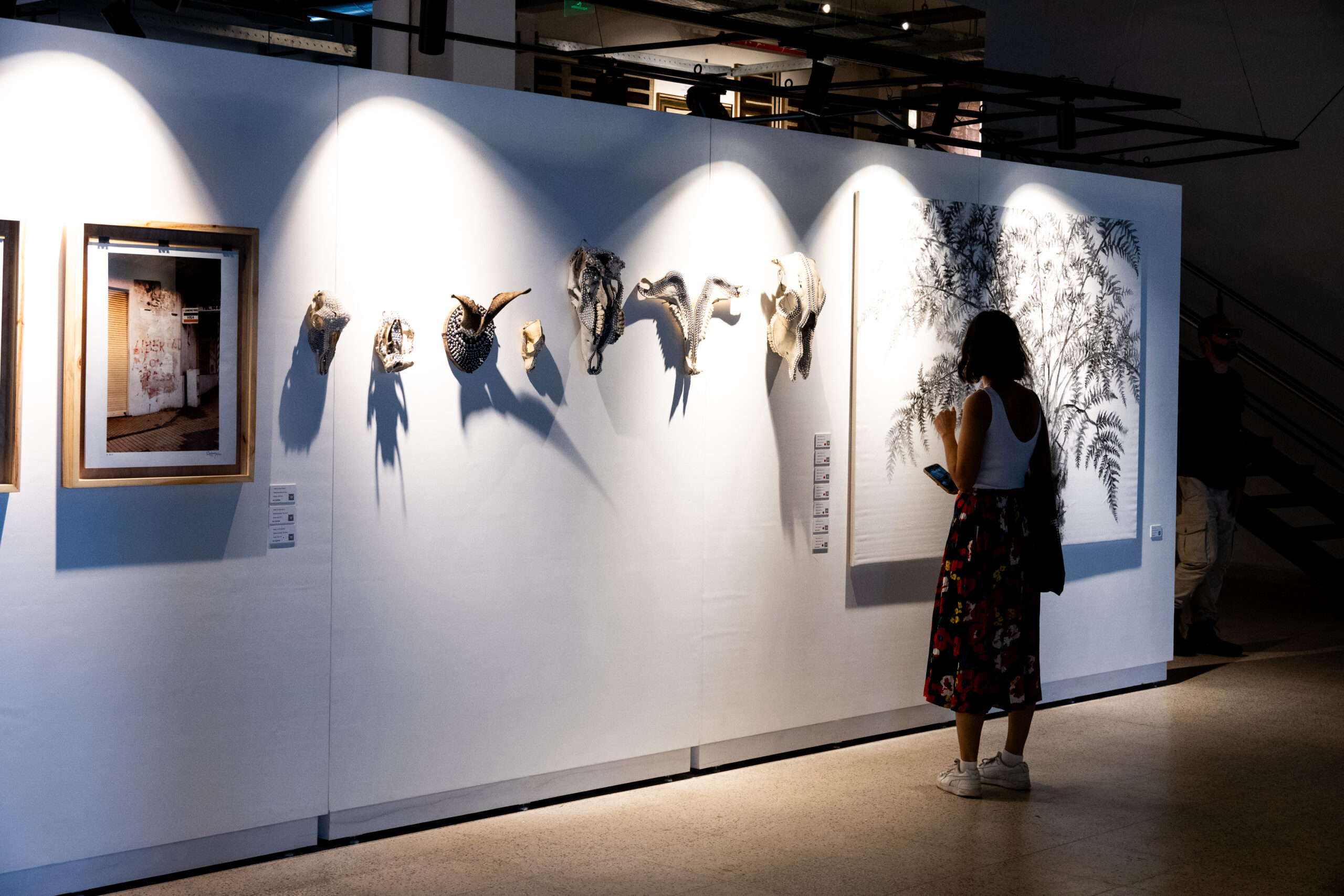 Más de 5000 personas disfrutaron de la Séptima Edición de 